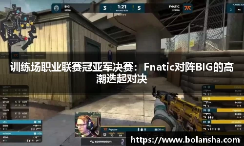 训练场职业联赛冠亚军决赛：Fnatic对阵BIG的高潮迭起对决